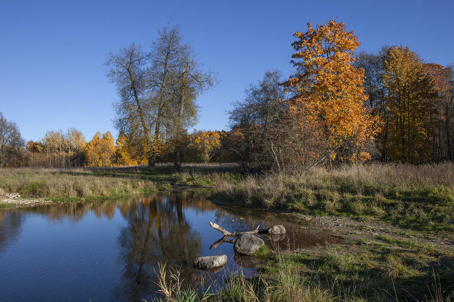 ,  александр михайлов