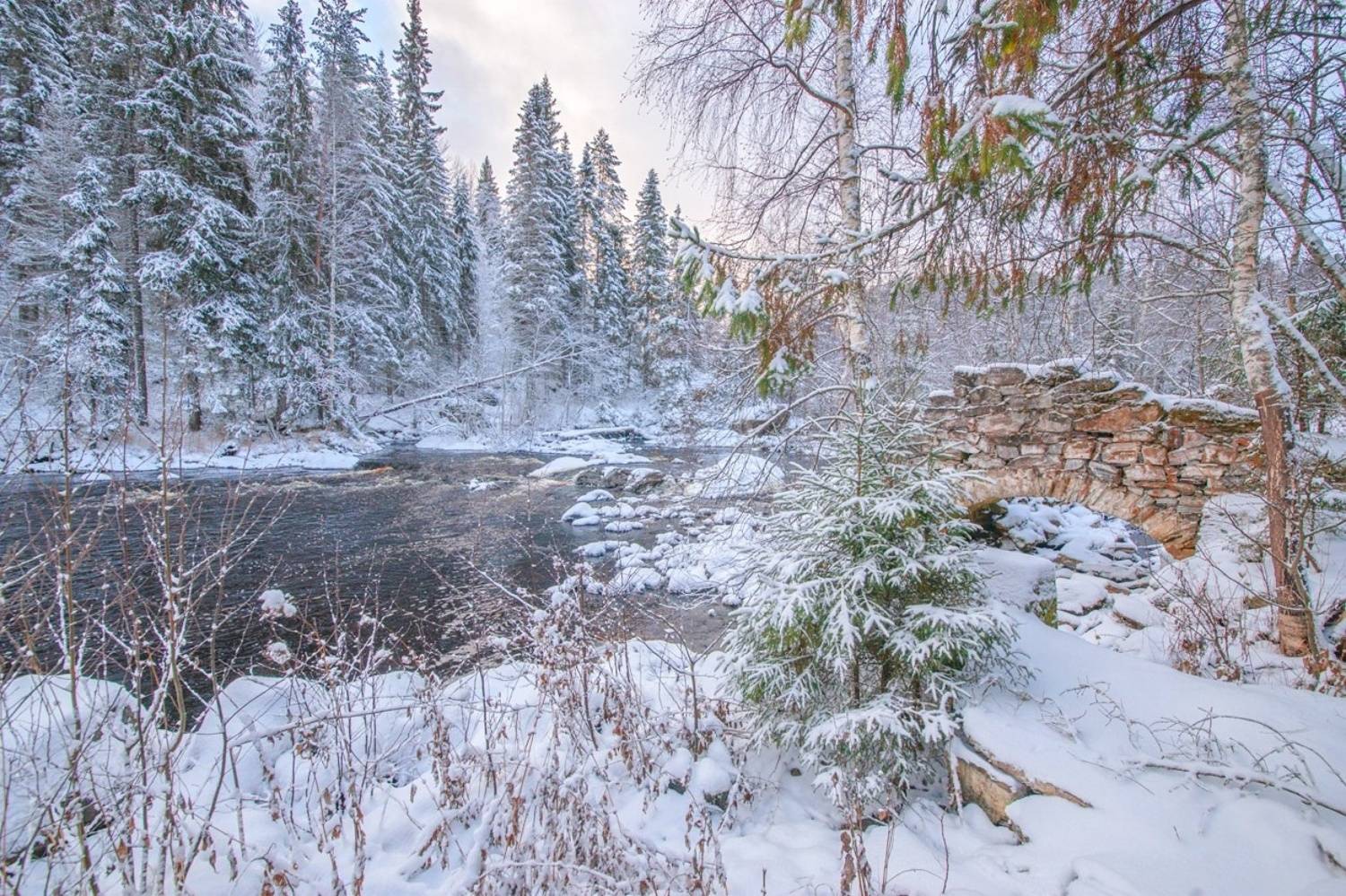 , Петр Косых