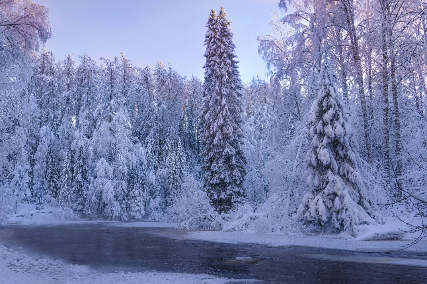 зима, мороз, пейзаж, река, зимняя река, ленинградская область, река рощинка, линдуловская роща, Галина Дейнекина