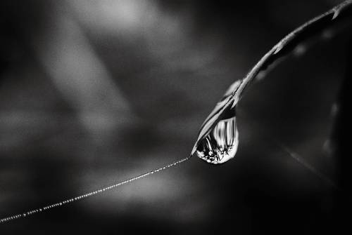 Дары атмосферной зимы.