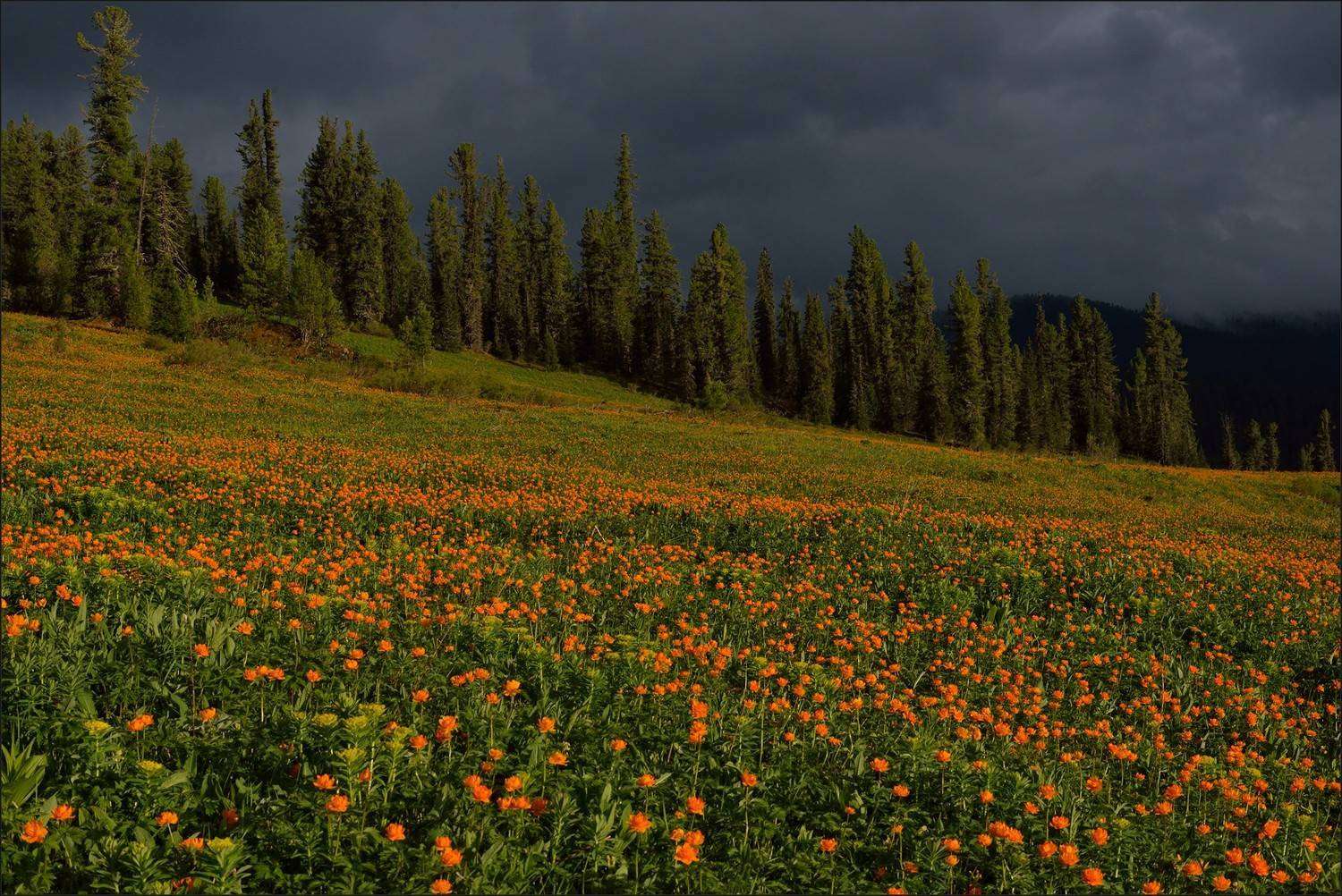 ергаки, Беляев Юрий