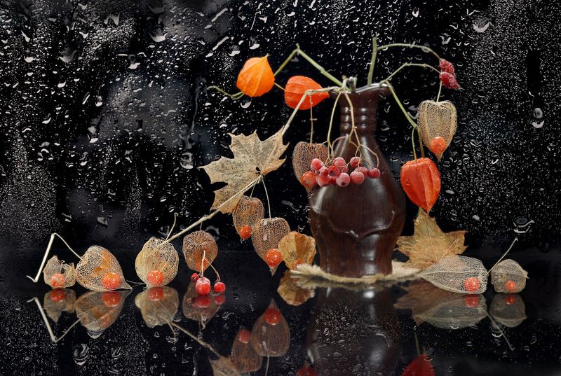 цветы, физалис, ягода, ваза, капли Физалис фото превью