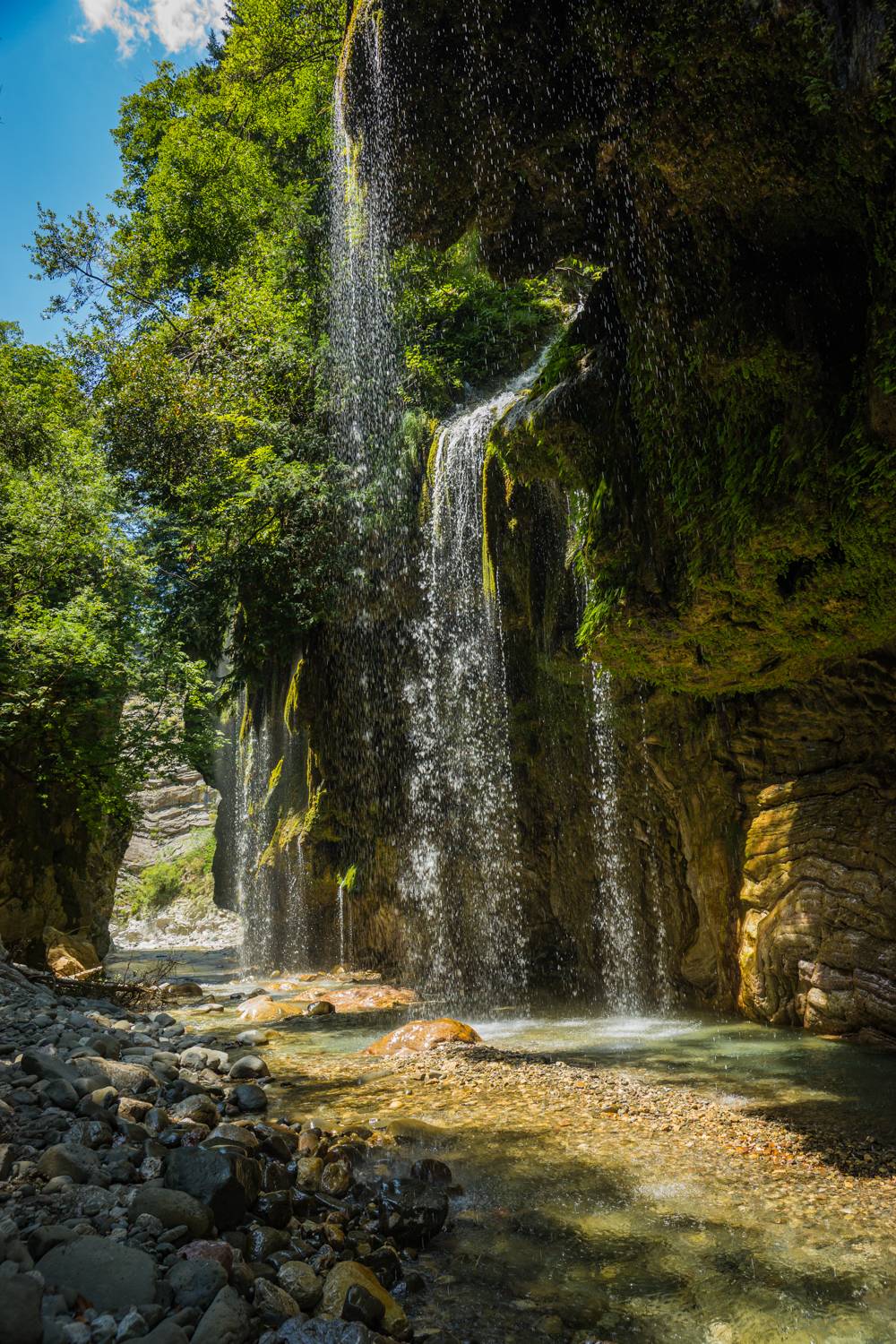 , Максимова Дария