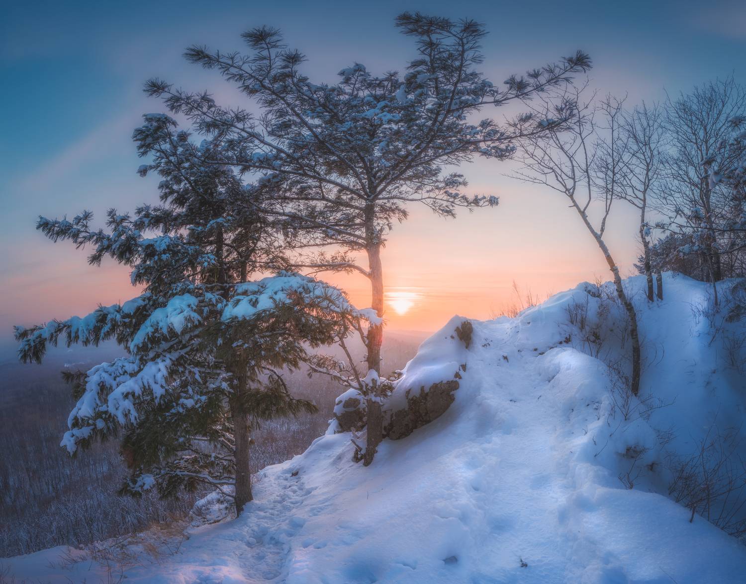 , Новиков Александр