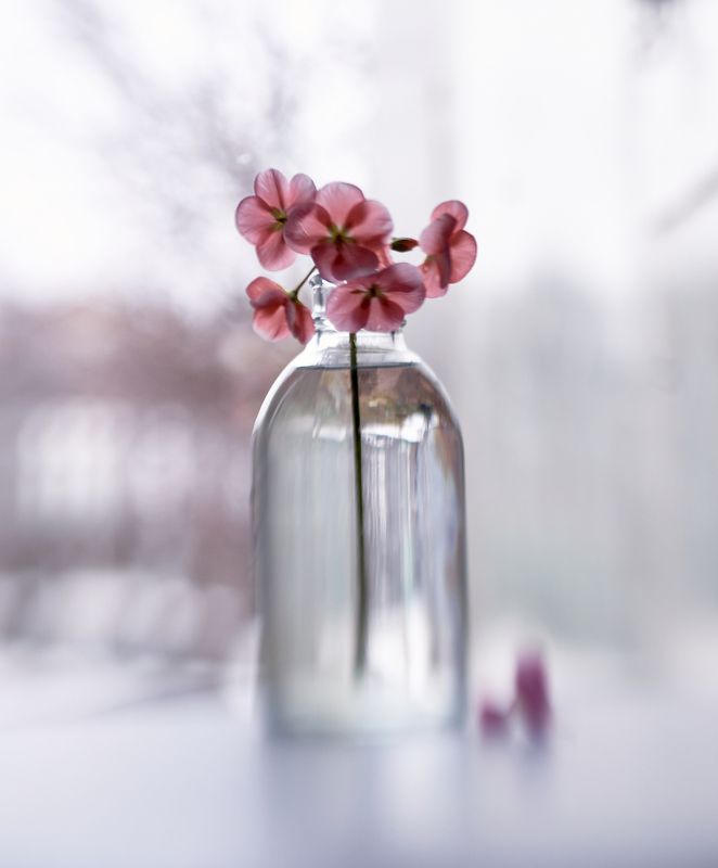 В пастельных тонах фото превью