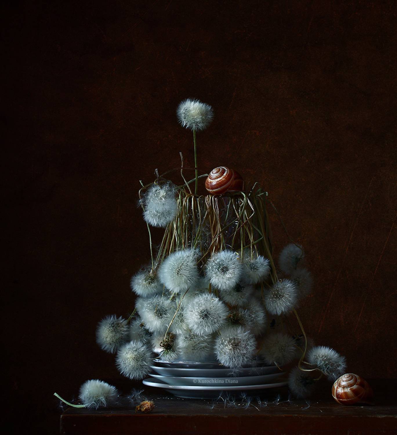 натюрморт, цветы, одуванчики, пушистики, Курочкина Диана