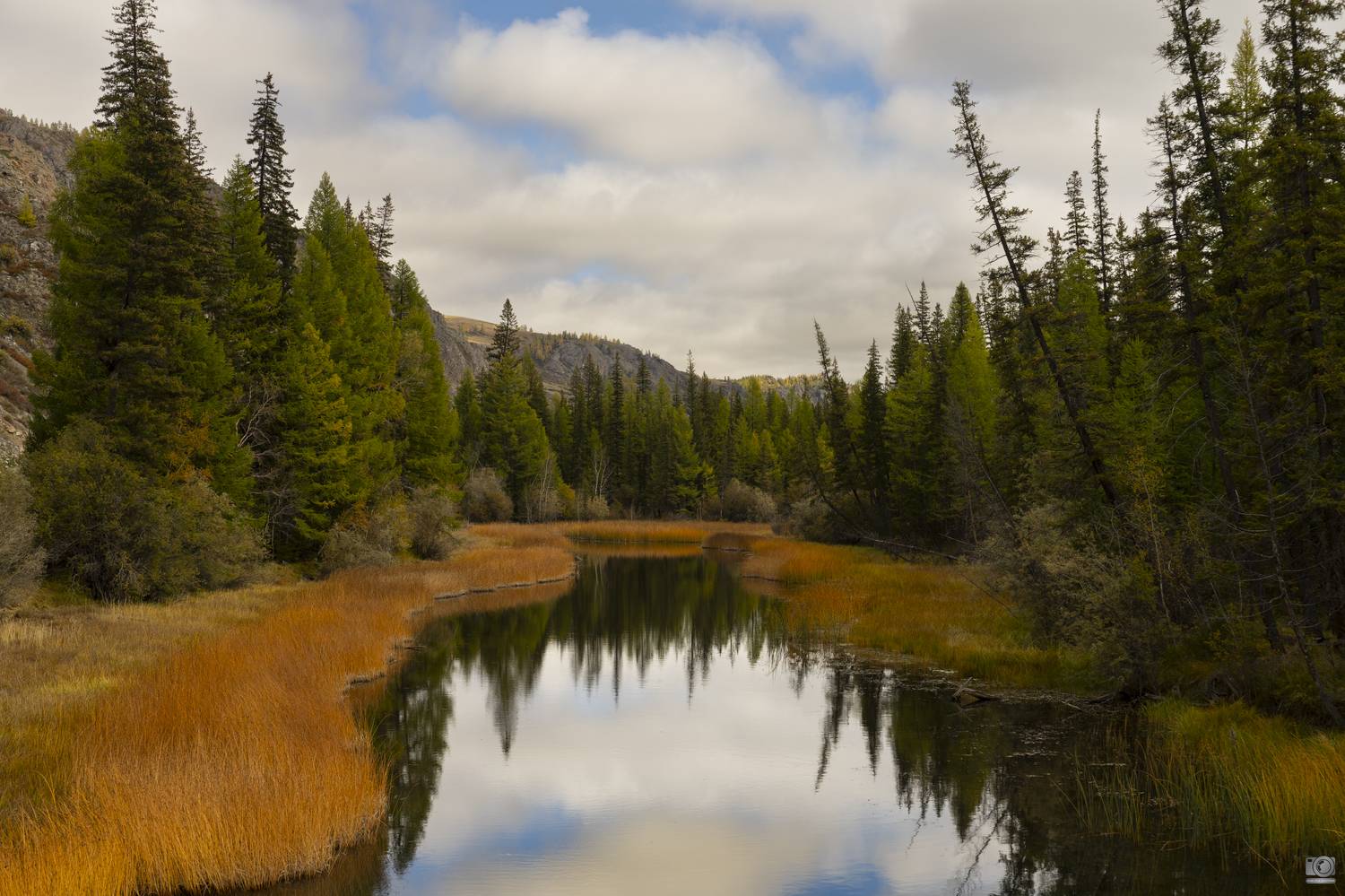 алтай, Ковалев Дмитрий