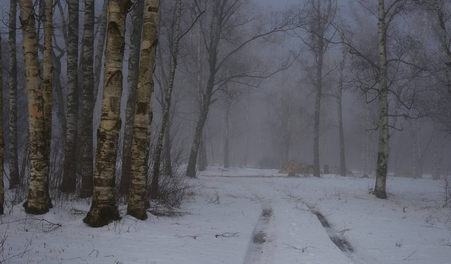 зима туман лес утро, Александр Жарников