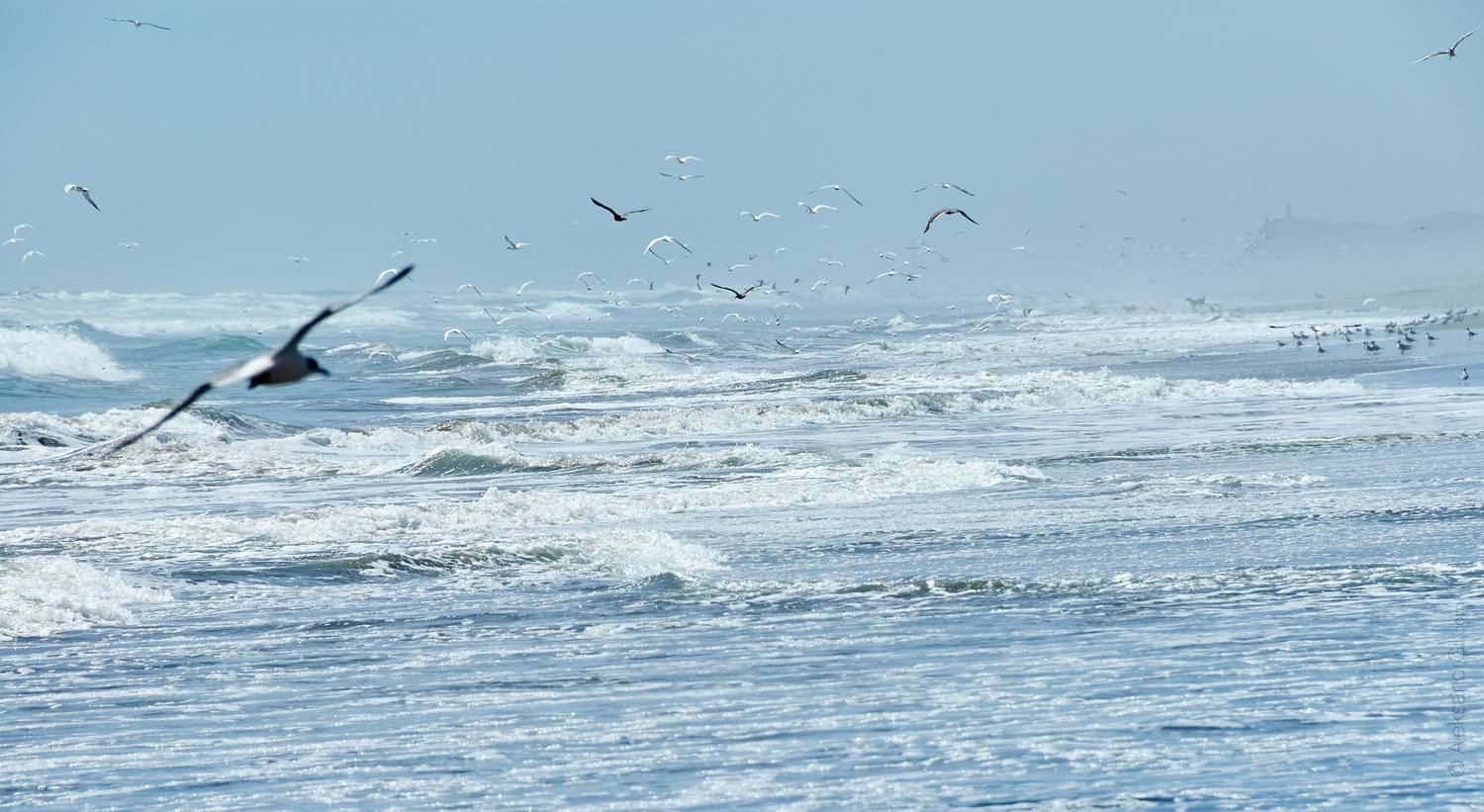 океан, волны, свобода, Александр Гиль