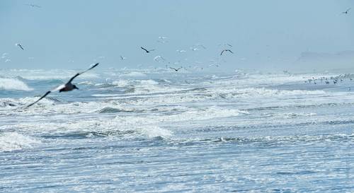 ПРО СТАКАН И ОКЕАН