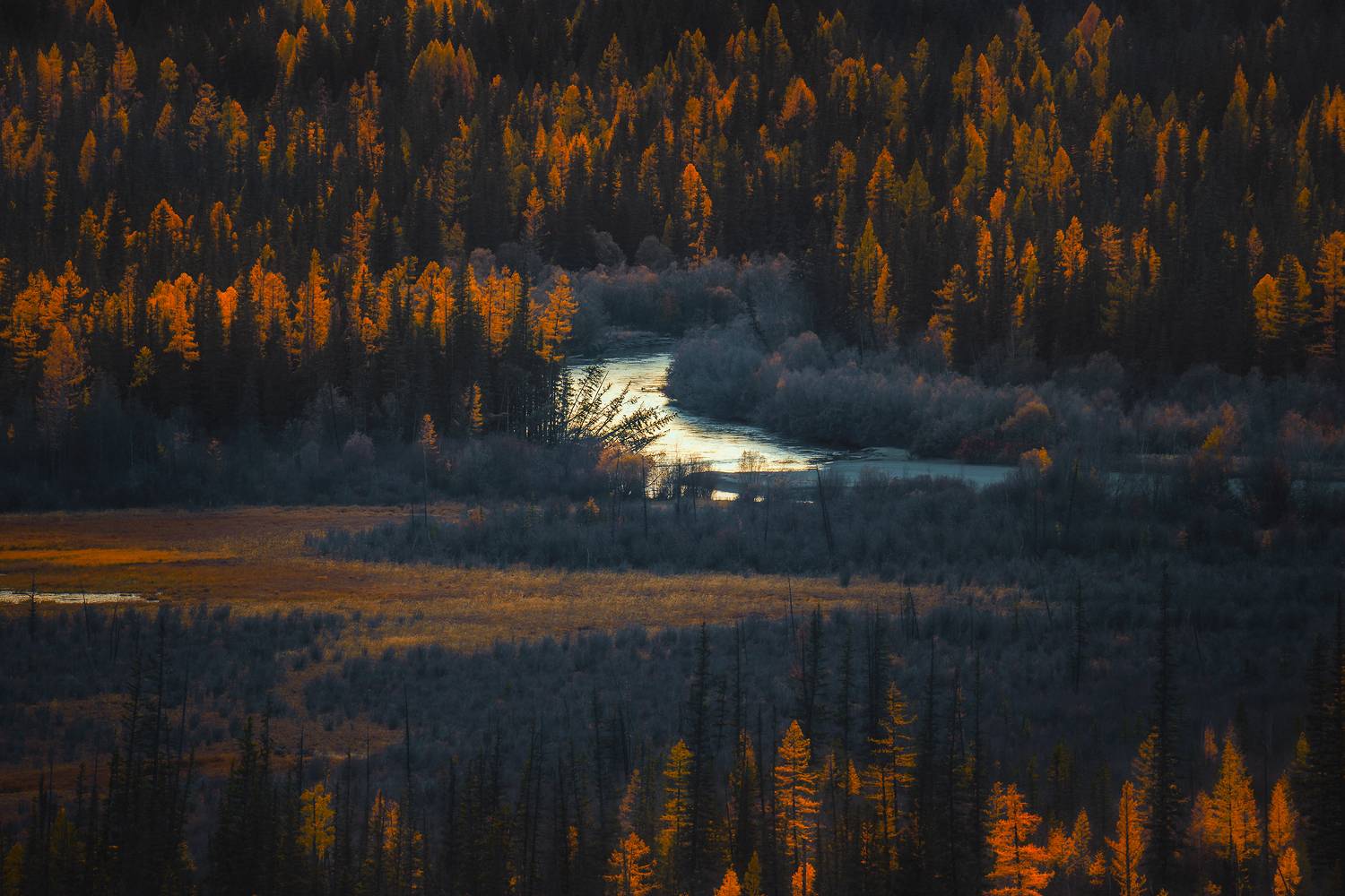 , Андреев Сергей