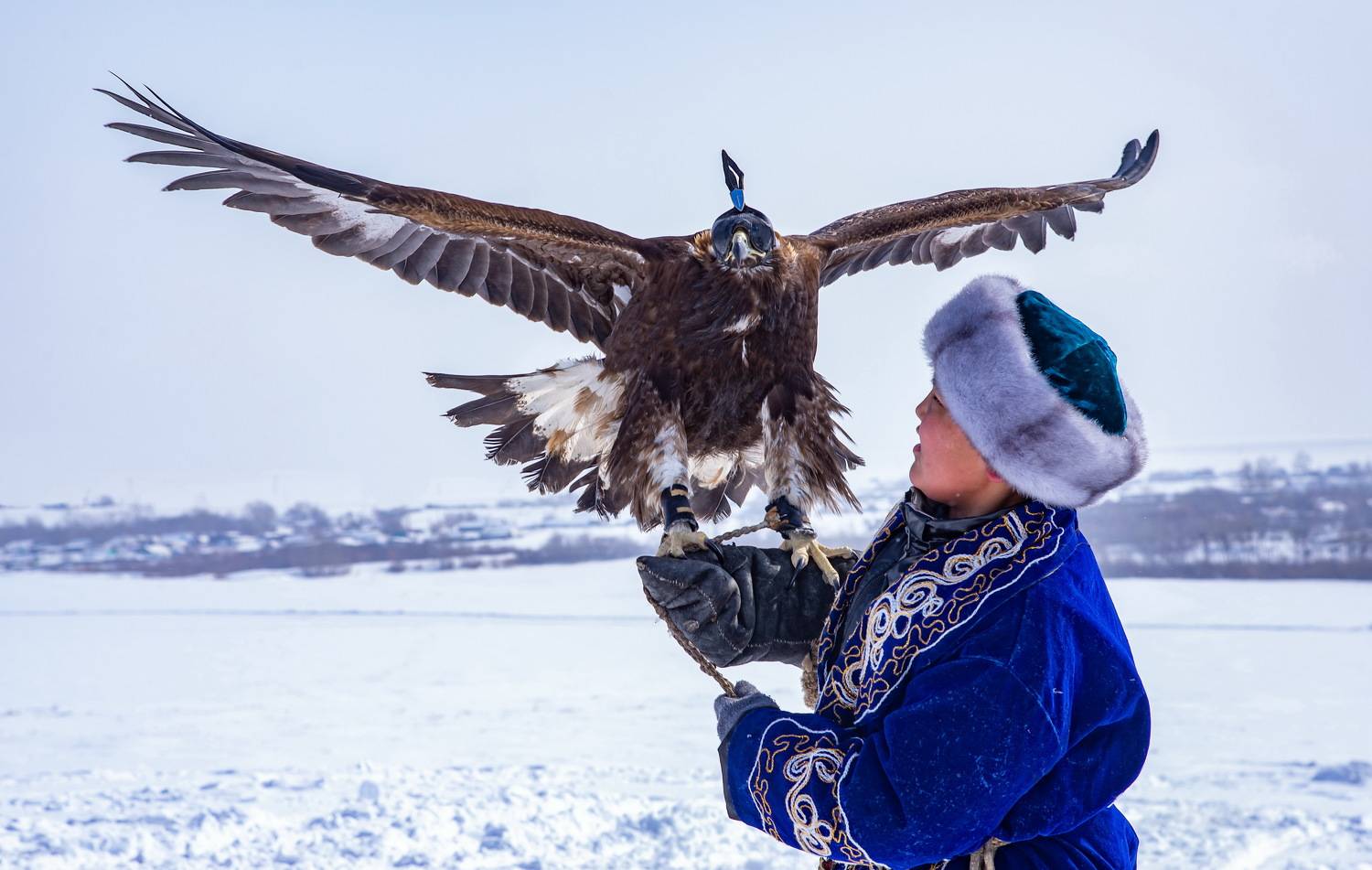 беркут, Евгений Дроботенко