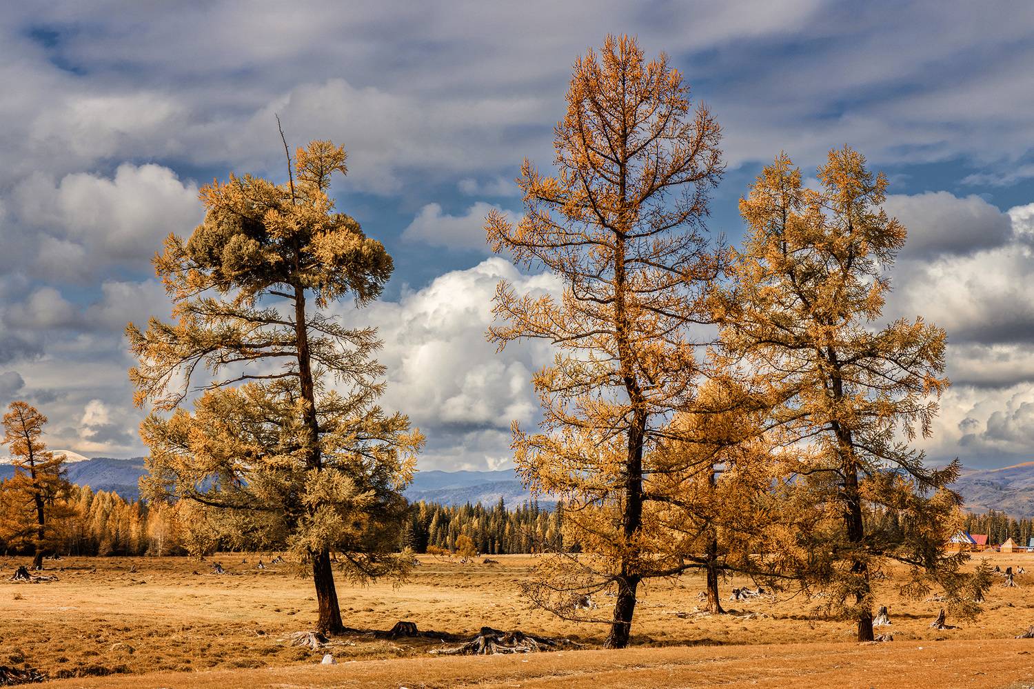 , Морозов Сергей