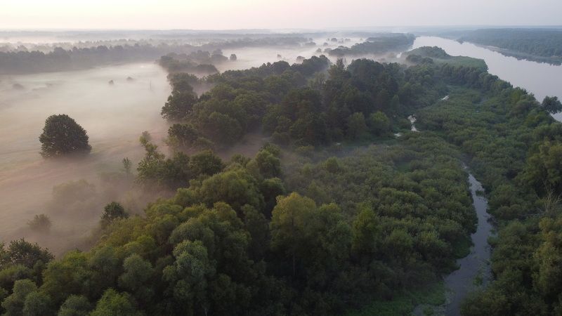 Летнее утро фото превью