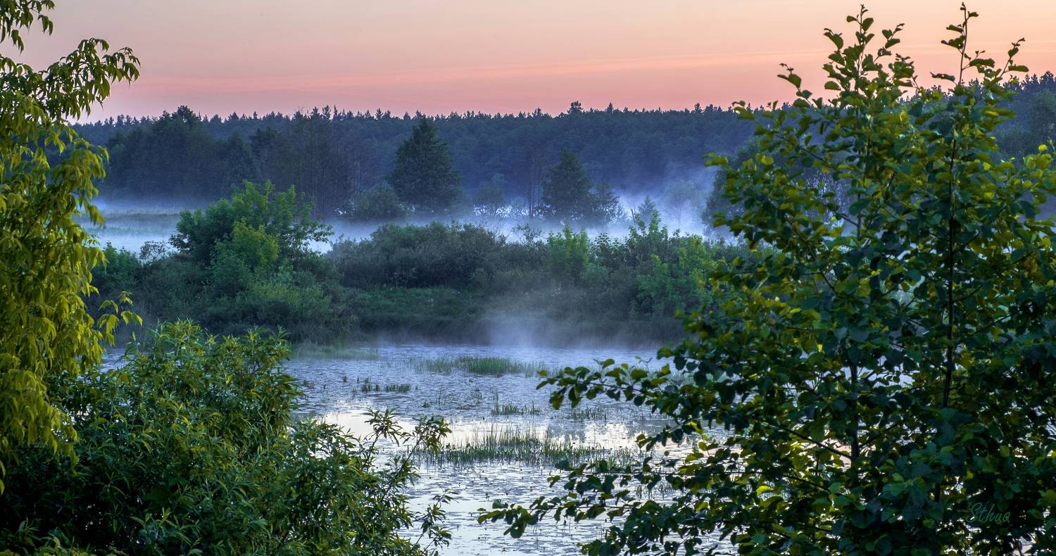 лето озеро туман рассвет природа пейзаж, Александр Строков