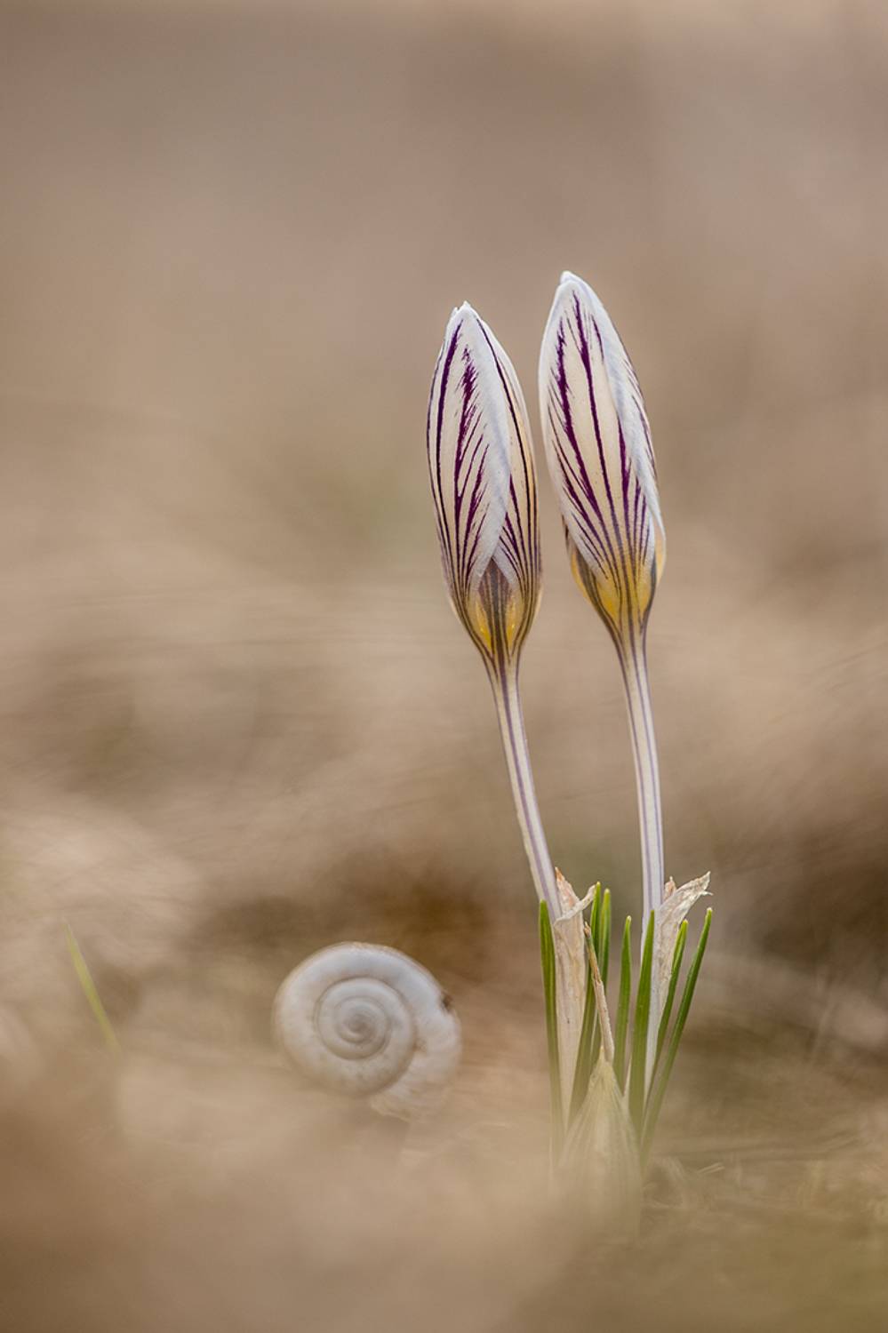 , Илья Михеев