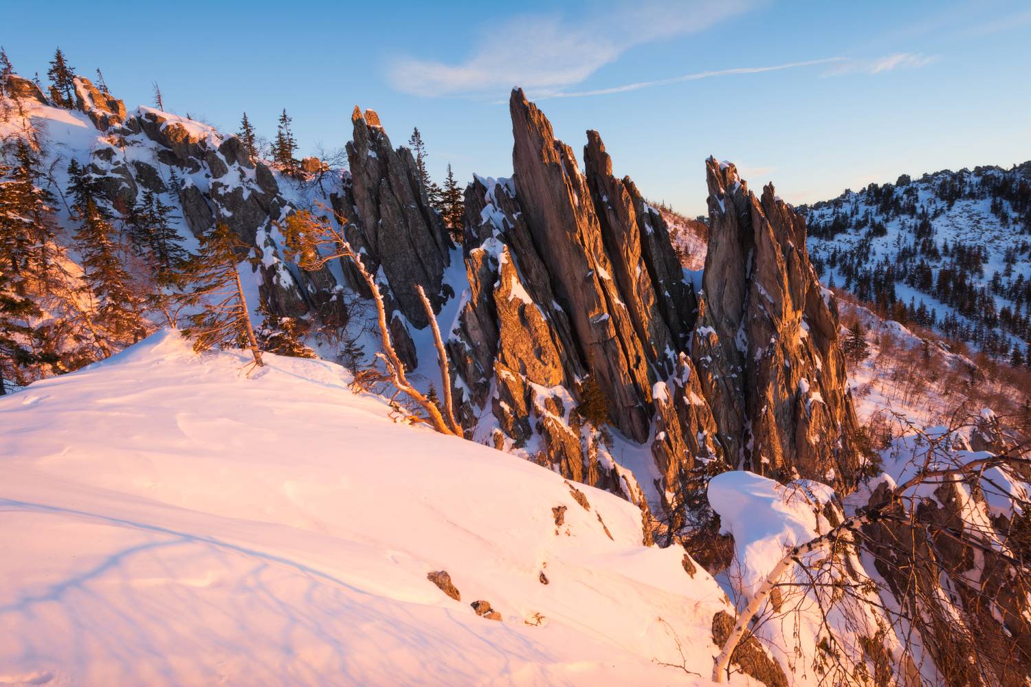, Алексей Проняхин