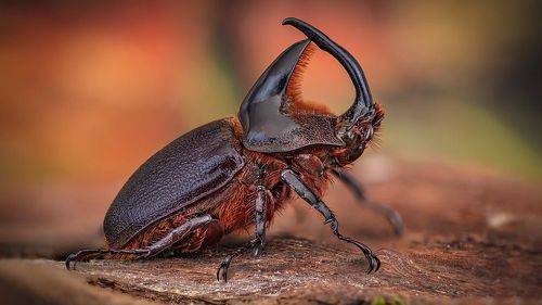 Самоувереный