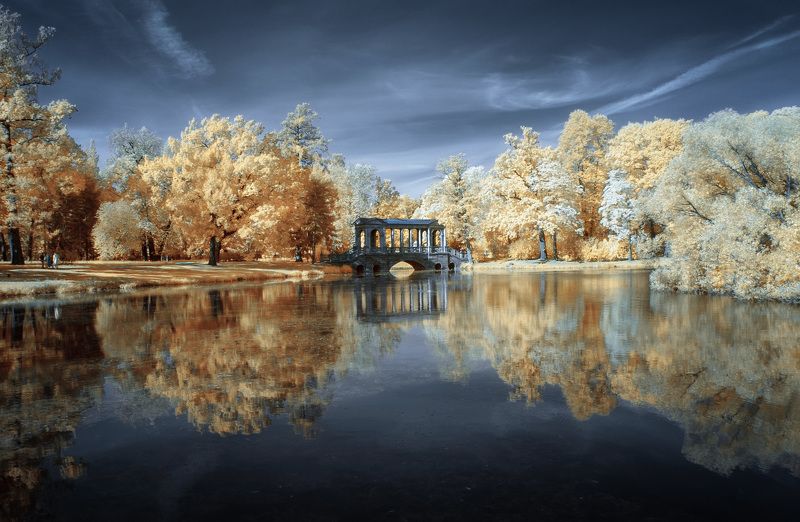 инфракрасная фотография, фильтр 590nm У пруда, Екатерининский парк. фото превью