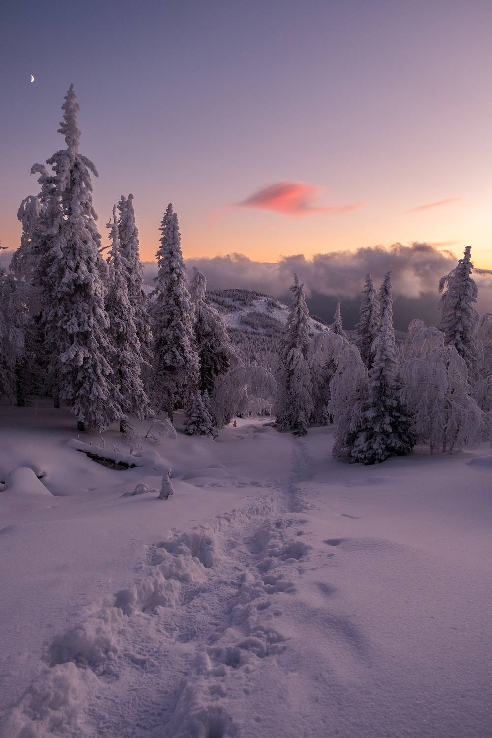 , Бодрягин Виталий