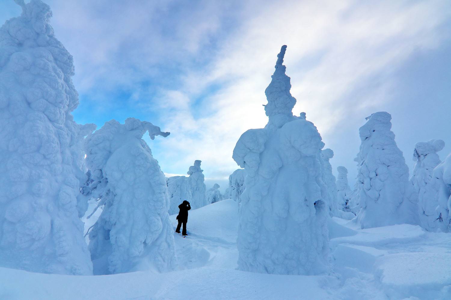 , Добролюбова Тамара