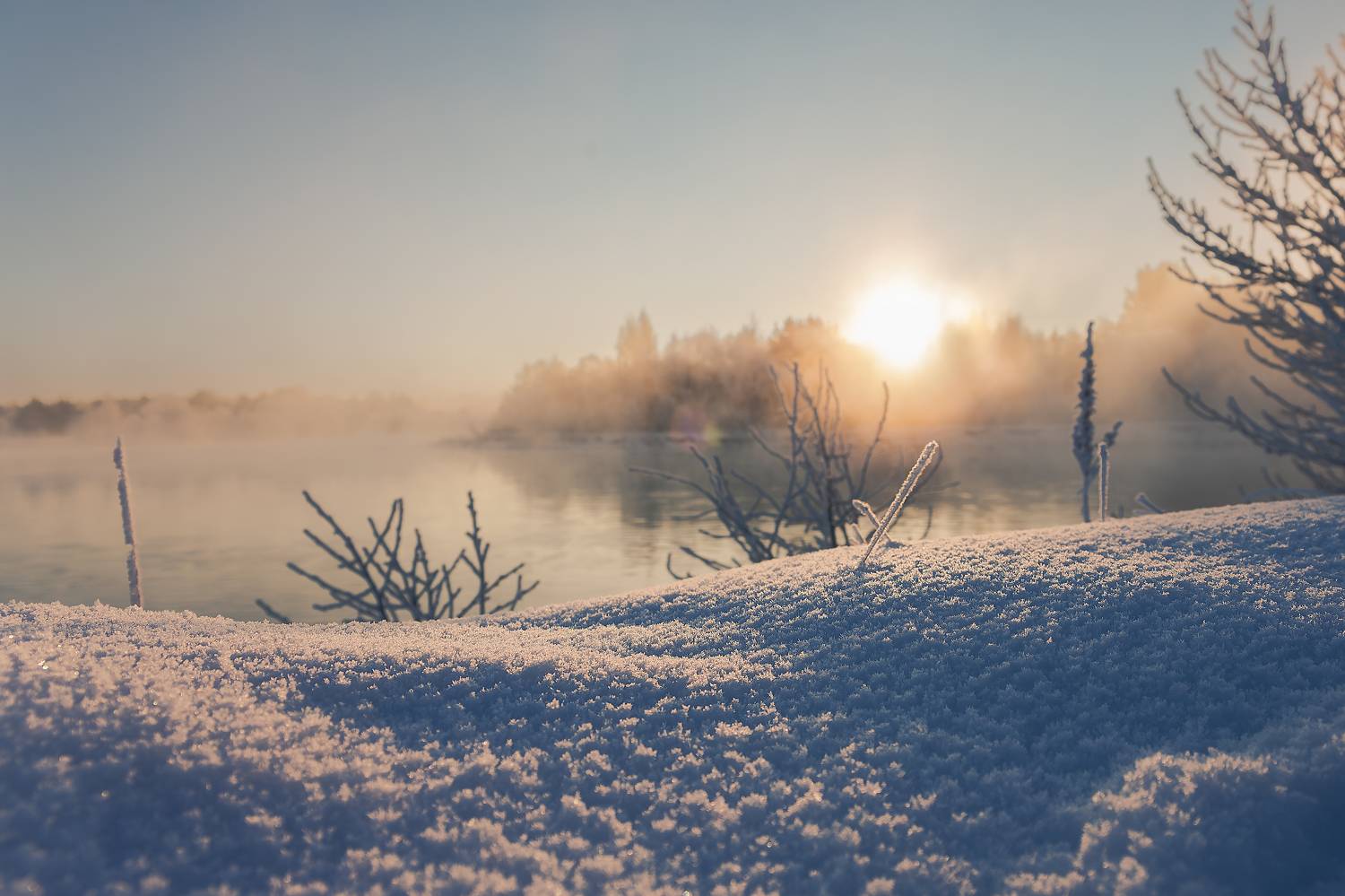 , Шимаковский Юрий