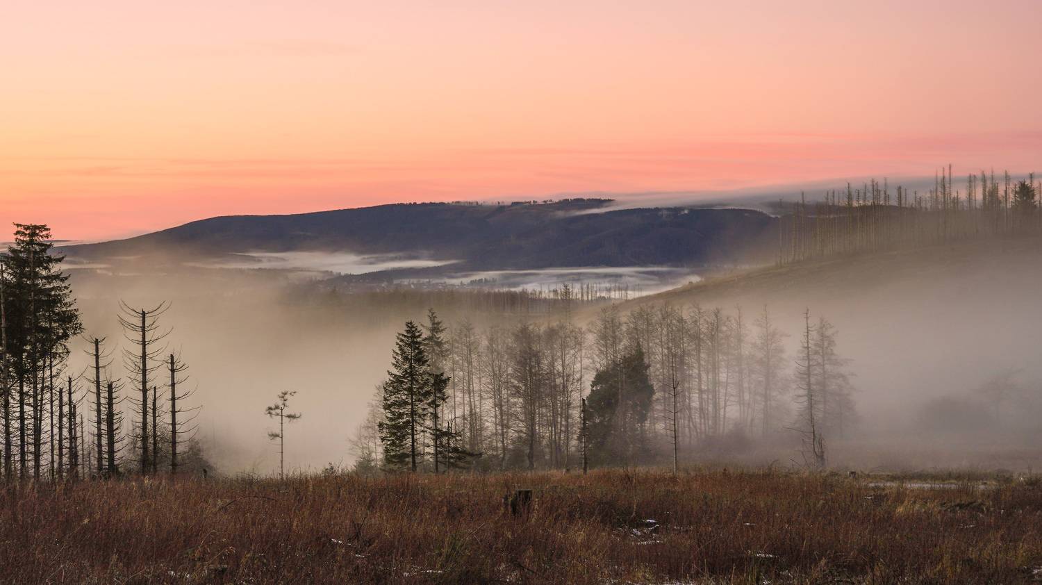 , Игорь Дубровский