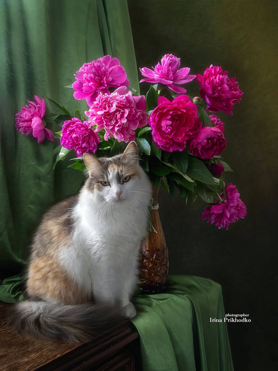 натюрморт, цветы, букеты, кошка, домашние животные, питомцы, котопортрет, Приходько Ирина