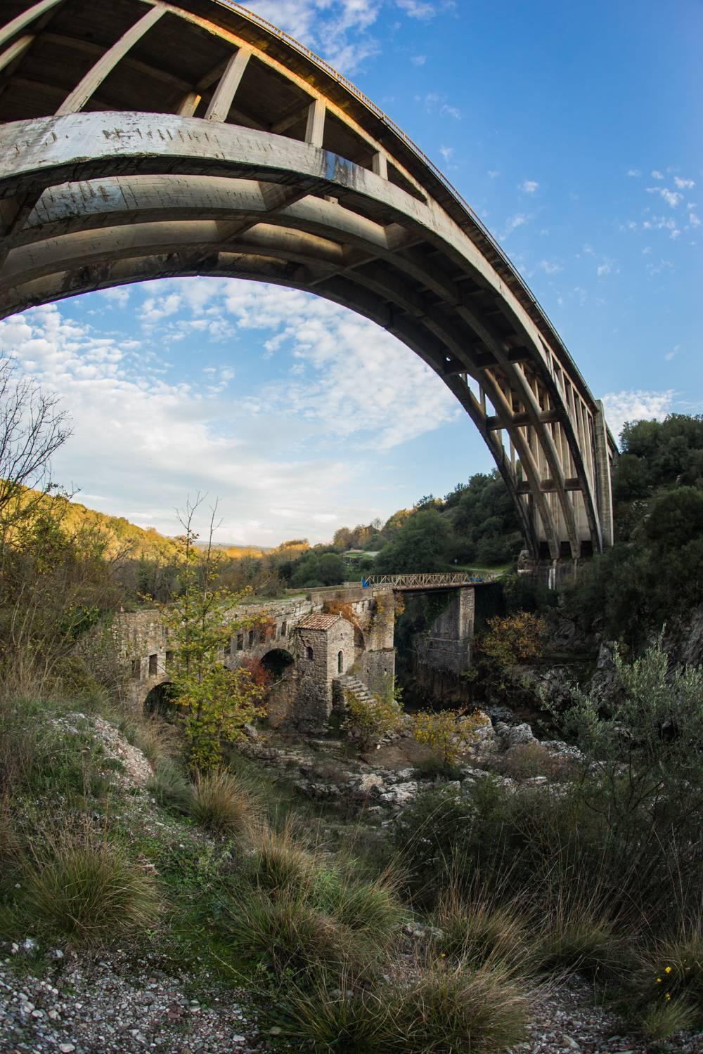 , Максимова Дария