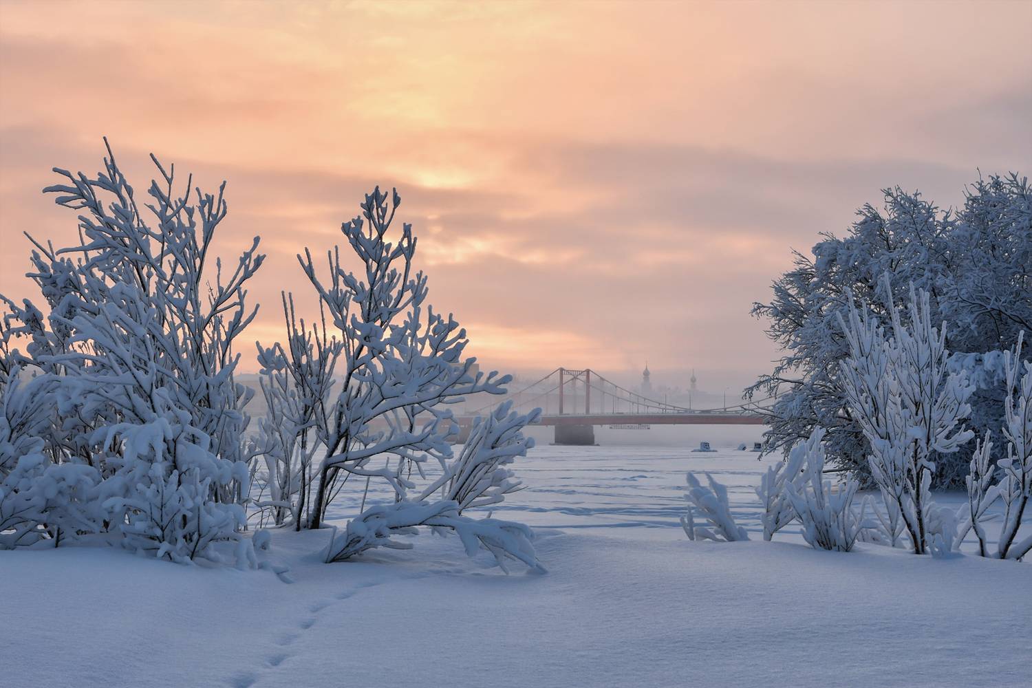 зима январь снег мороз иней деревья  кусты берег, Вера Ра