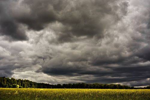 Погода к дождю