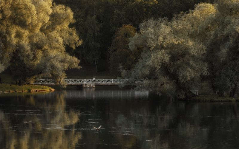 +++ фото превью