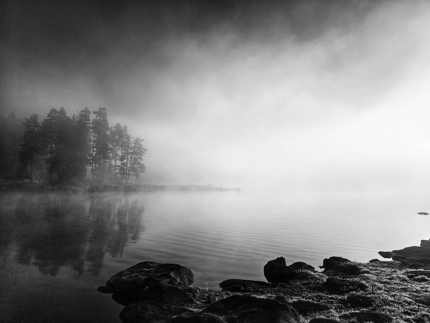 , Герчев Николай