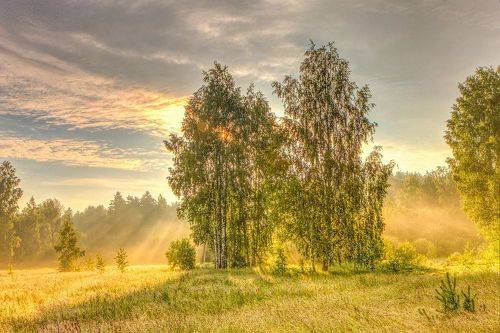 Вышло солнце из-за тучи