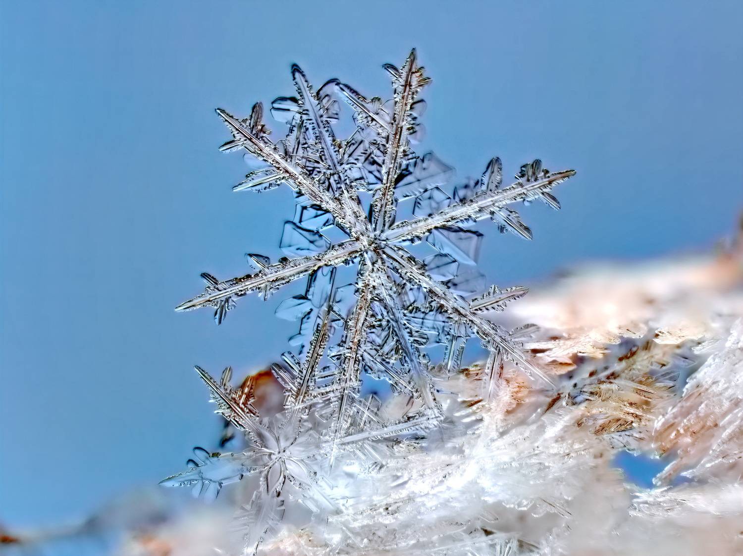 , Кузнецов Дмитрий