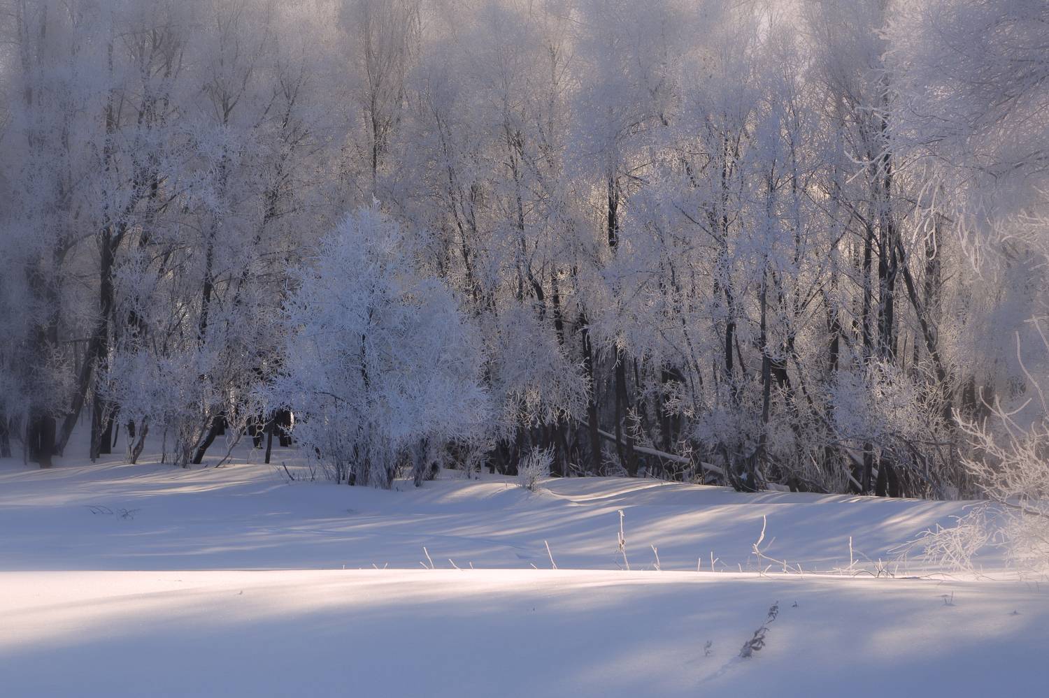 , Евгений Зинов