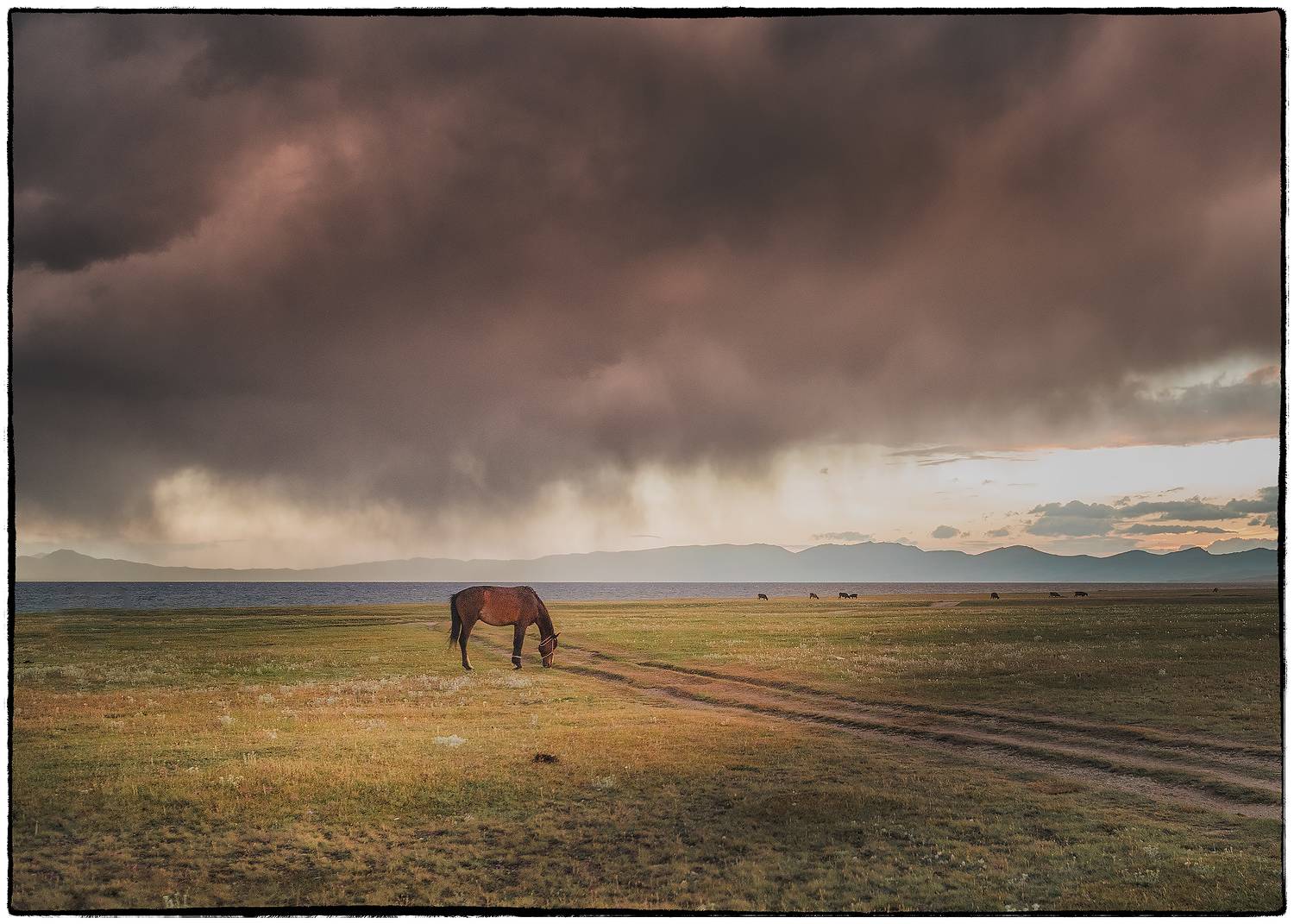 , Владимир Поляков