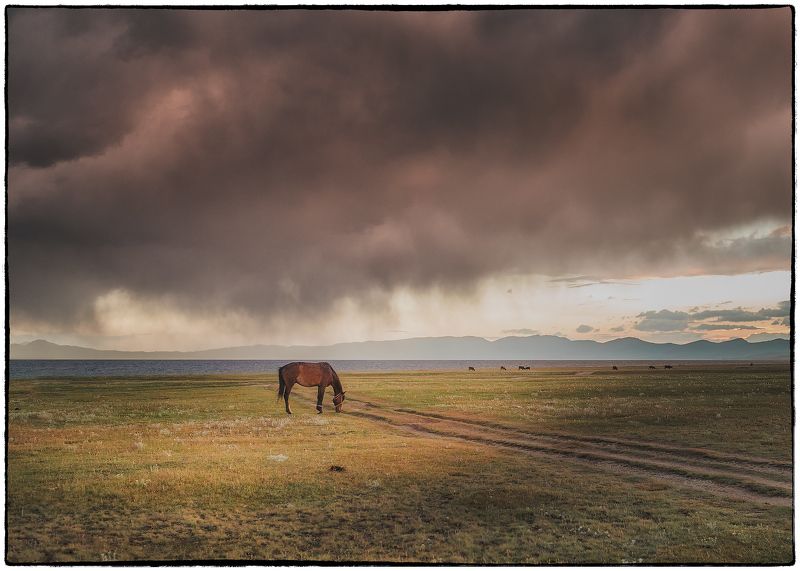 В плену фото превью