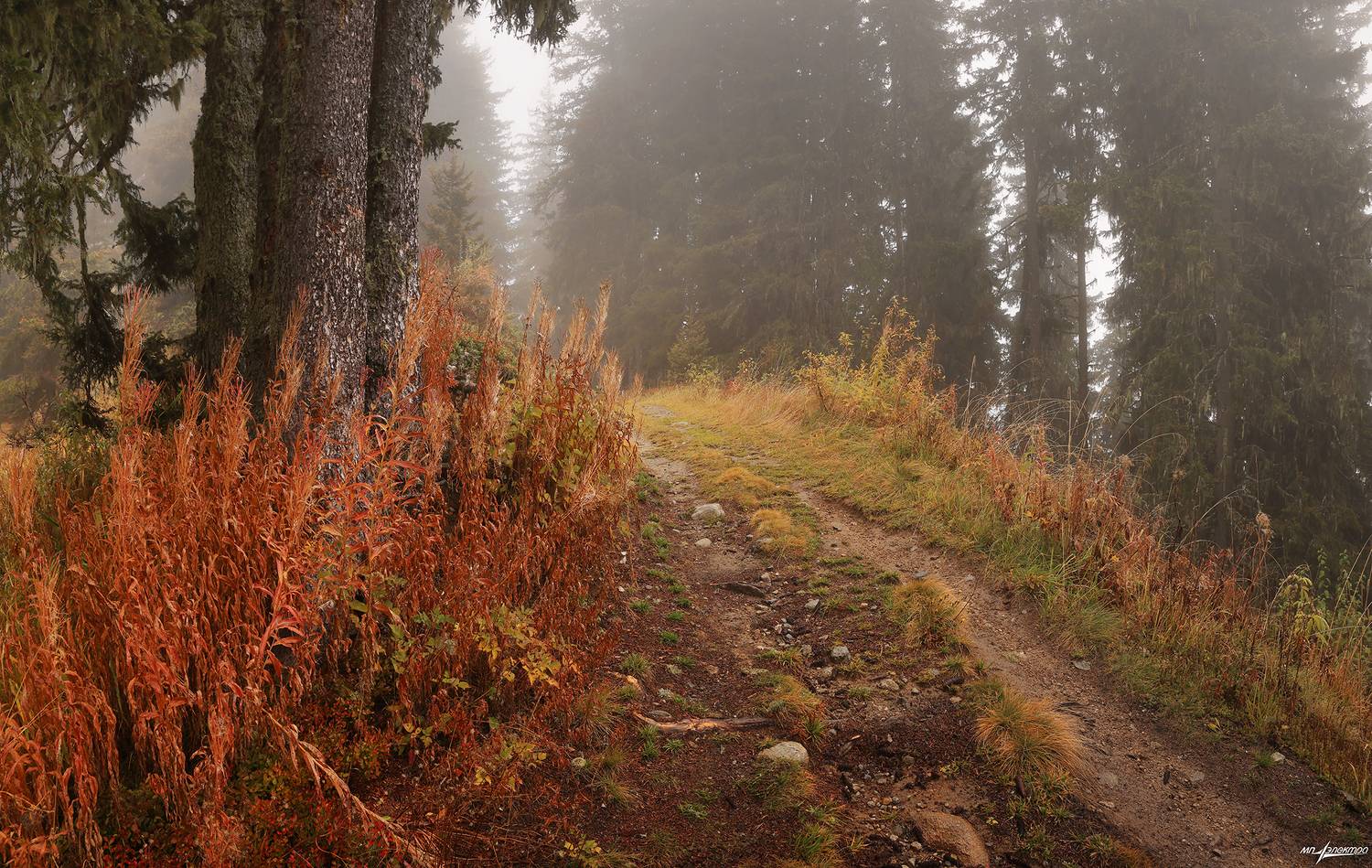 swiss,швейцария,горы,осень,туман,дороги,bettmeralp, Матвеев Николай