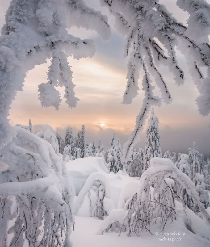 Морозный вечер фото превью