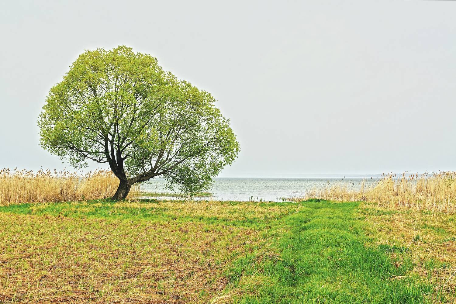 , Юрий Дёмин