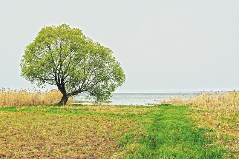оз.Плещеево фото превью