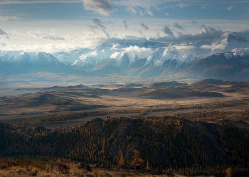 Предрассветность Курайской степи