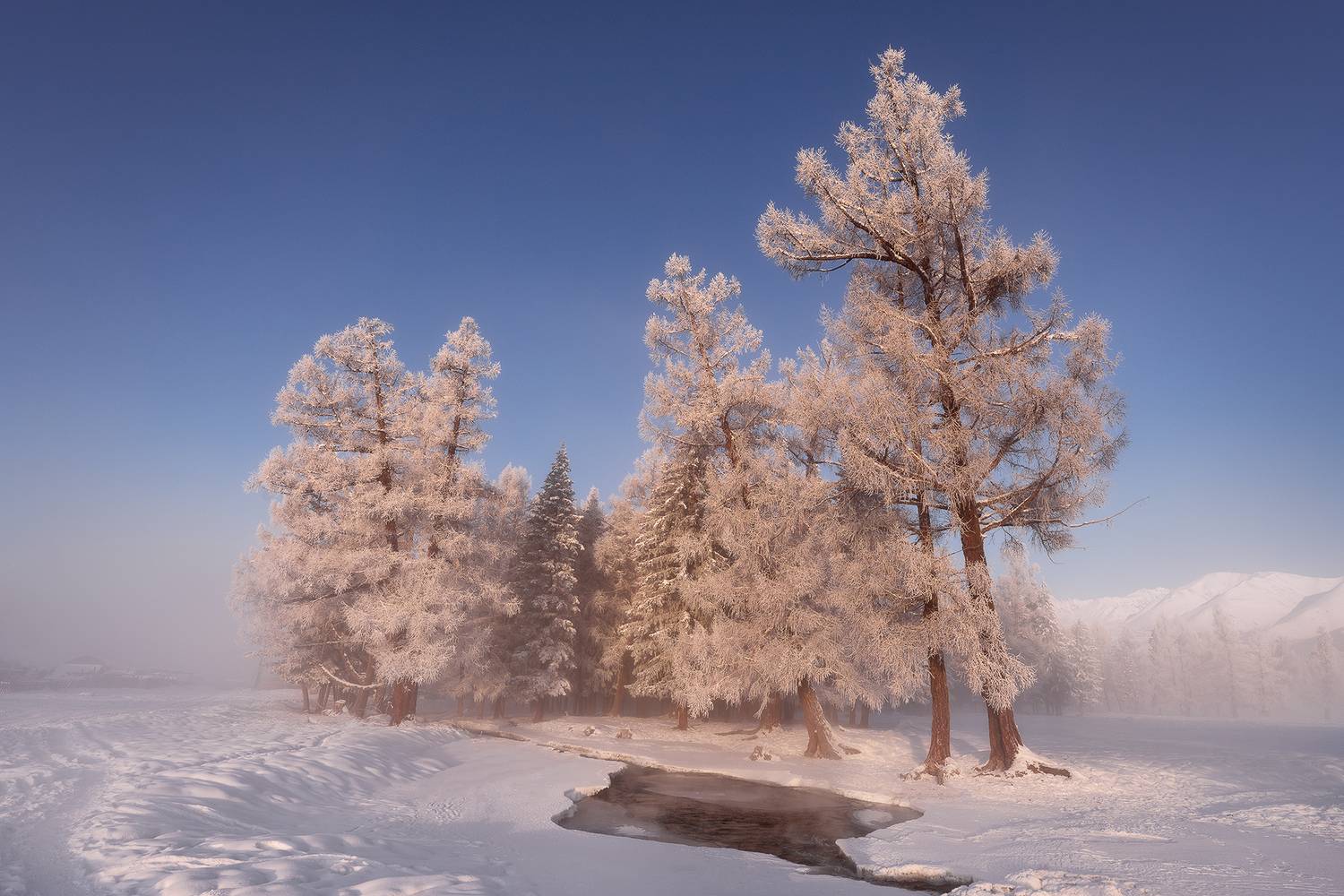 алтай, республика алтай, северо-чуйский хребет, курай, снег, иней, Дмитрий Купрацевич