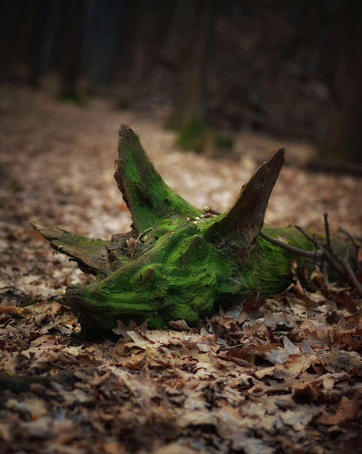 , Юлияна Стоянова