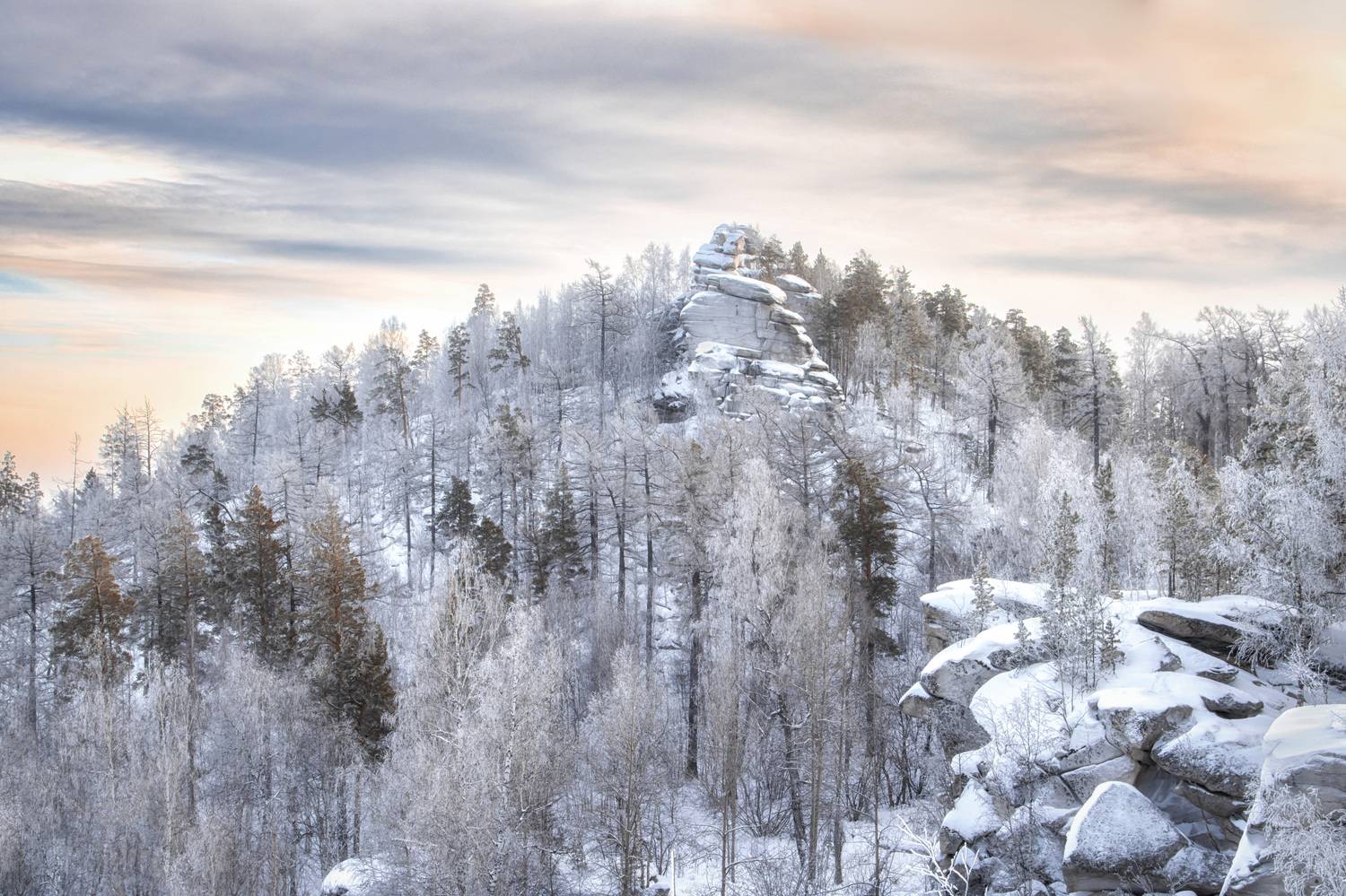 , Глухарёва Ольга