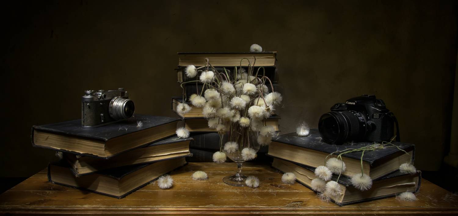 натюрморт, одуванчики, фотоаппарат, Татьяна Феденкова