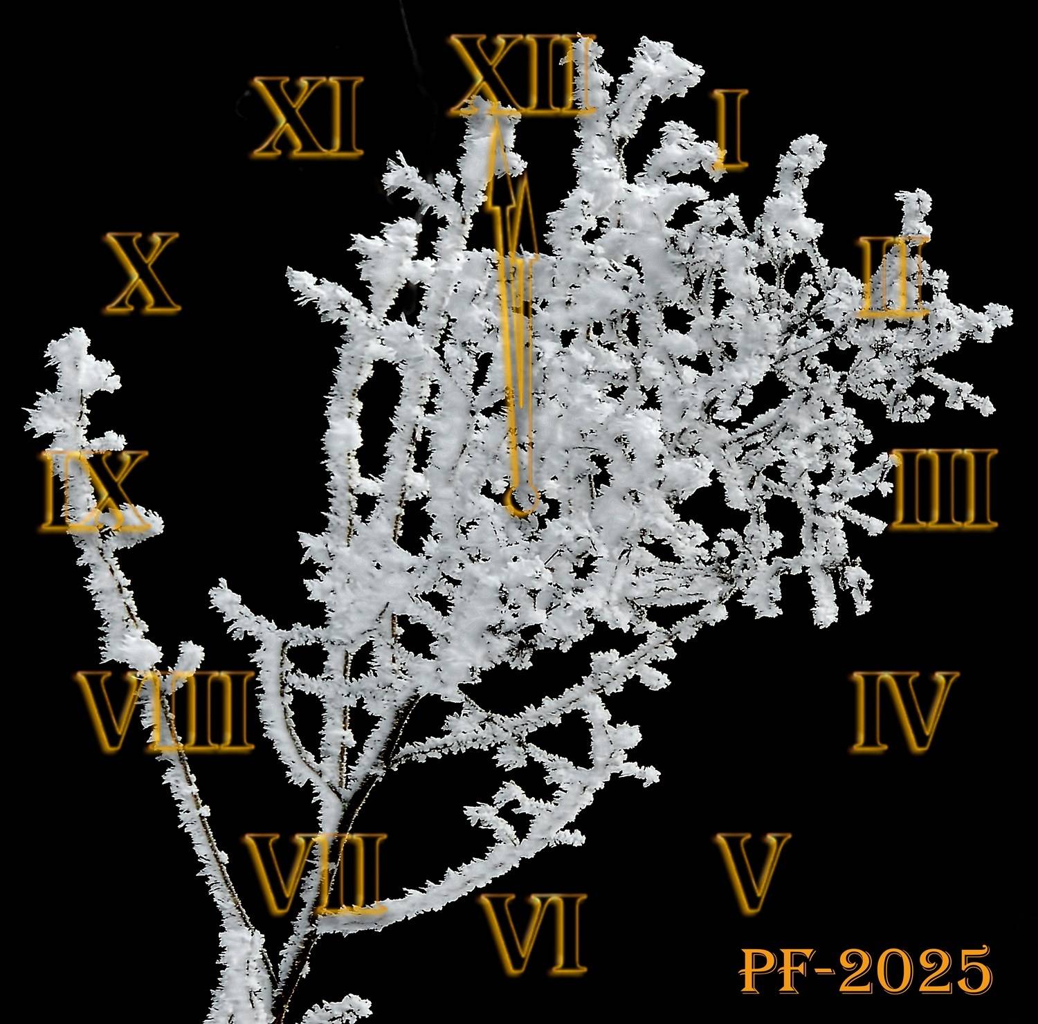 , Савоцкий Роман