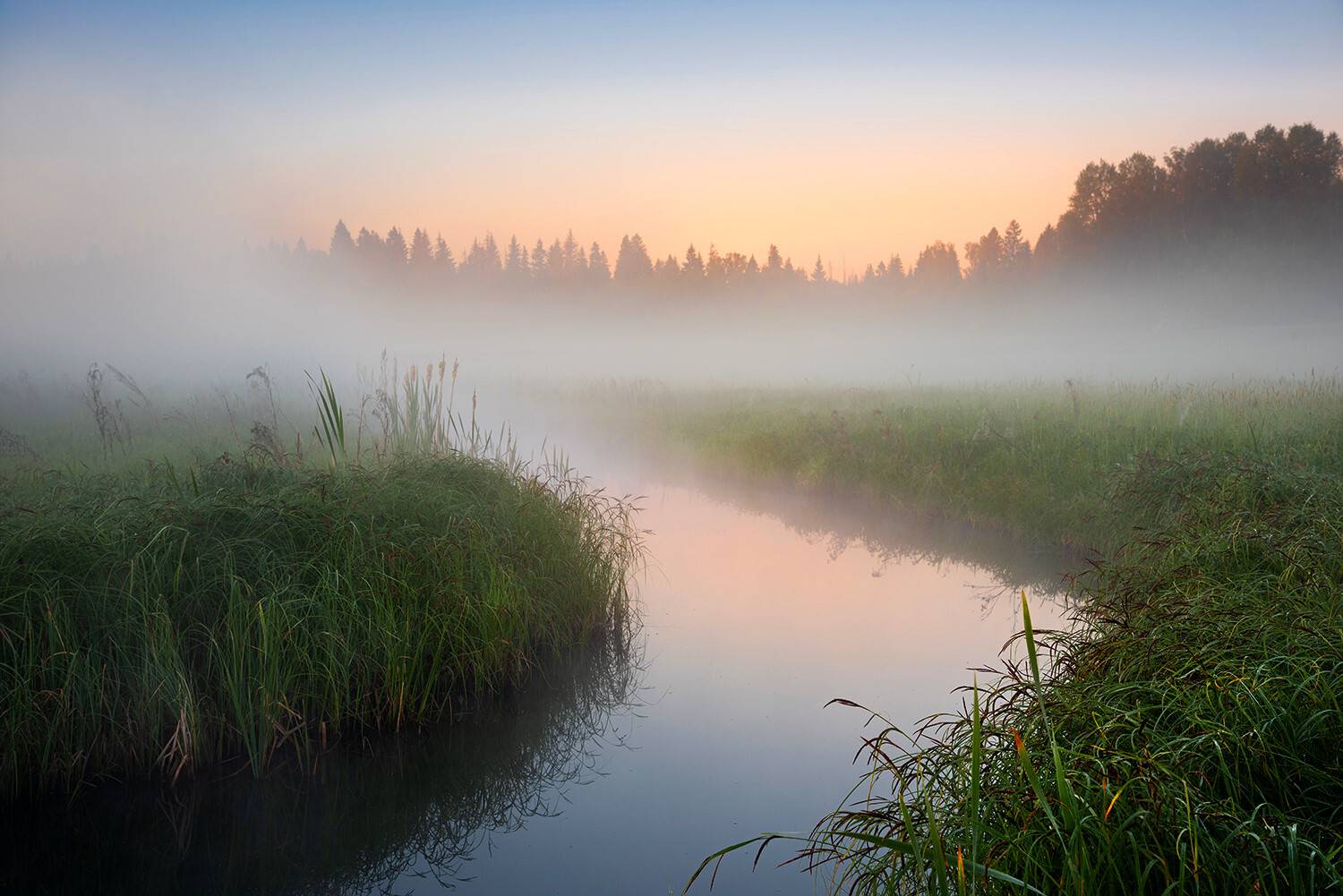 , Дмитрий Асеев