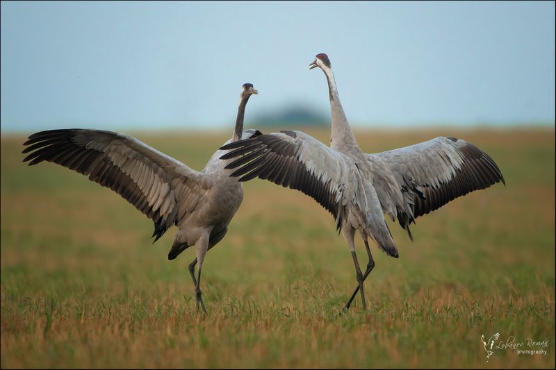 Танец фото превью